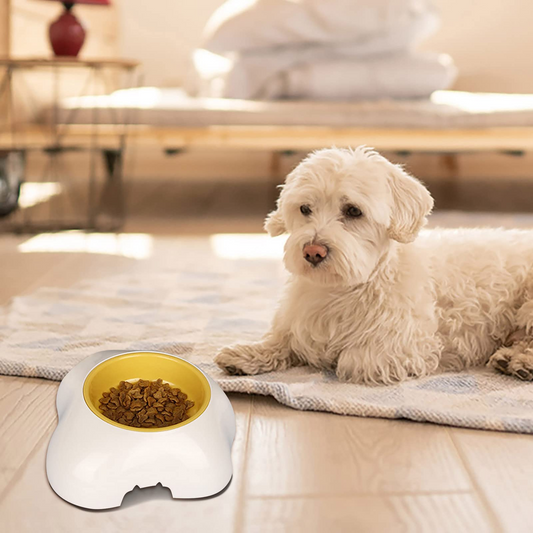 Ceramic Food Bowl Set