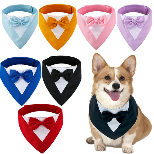 Pet Collar Dog Clothing