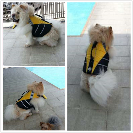 Pet Clothes Puppy Dog