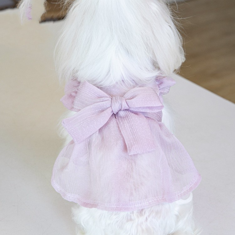 Dog Apparel