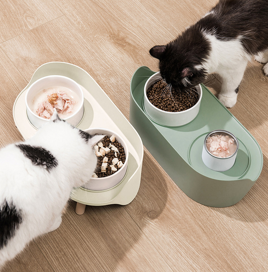 Ceramic Food Bowl Set