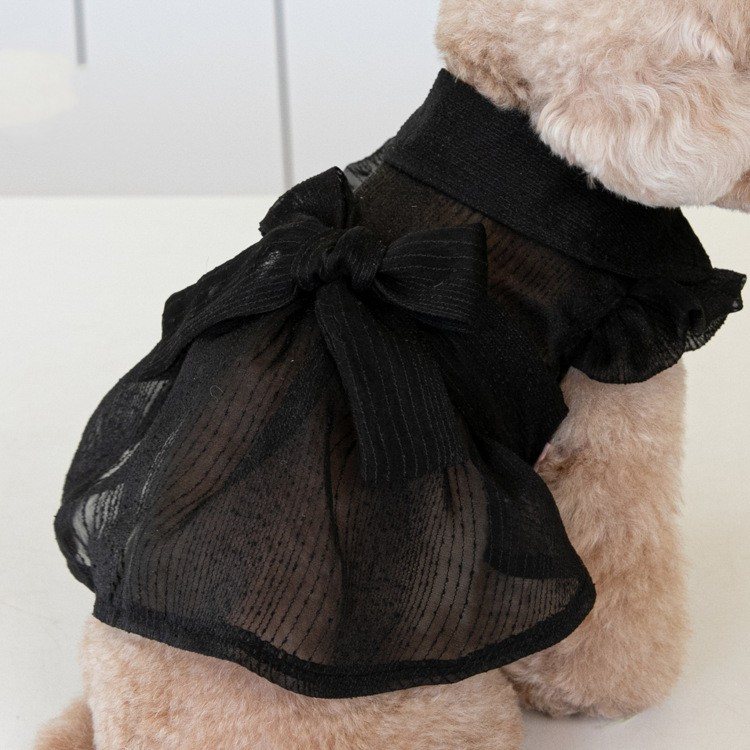 Dog Apparel