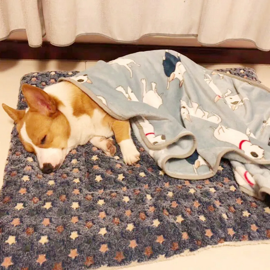 Pets Dog Bed