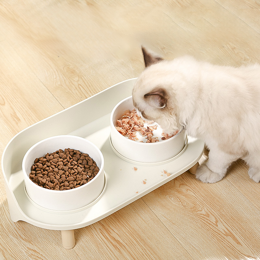 Ceramic Food Bowl Set